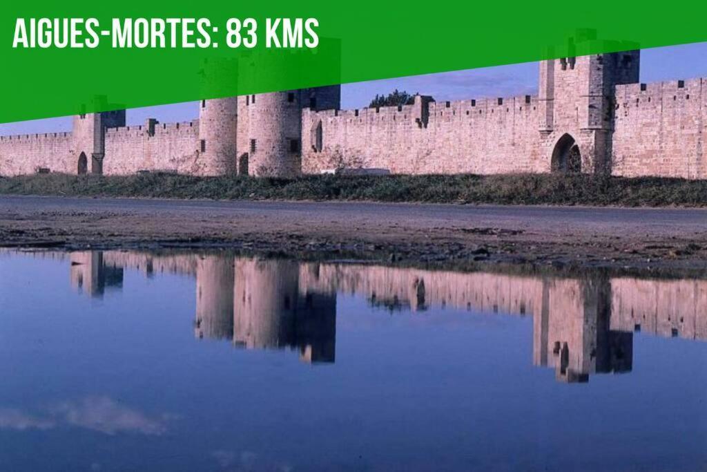 Serenite - Appartement Climatise Au Calme - Wifi Avignon Kültér fotó
