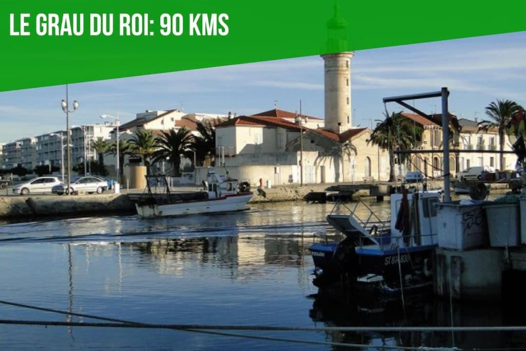 Serenite - Appartement Climatise Au Calme - Wifi Avignon Kültér fotó